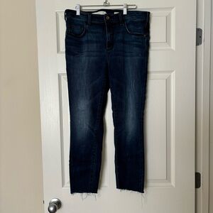 Pilcro and the Letterpress High Rise Skinny Jeans Size 31